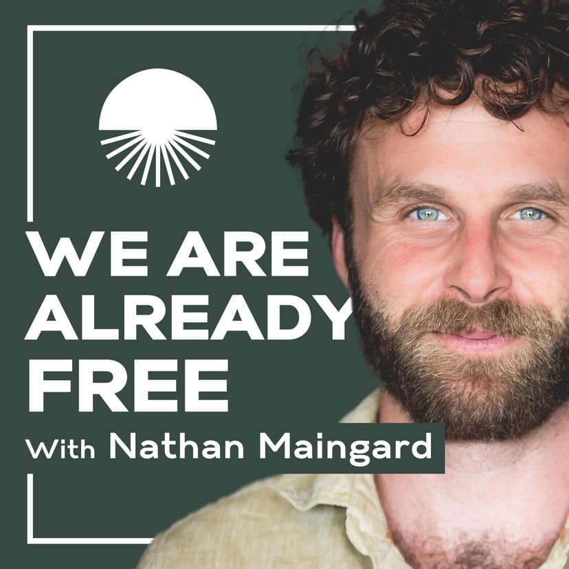 We Are Already Free cover art