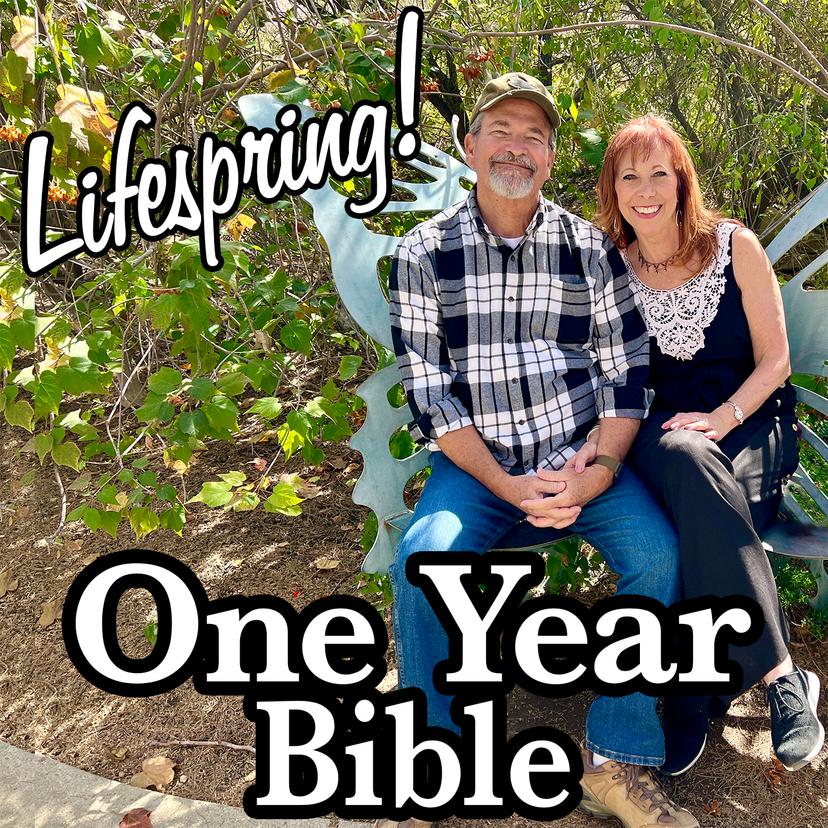 Lifespring! Family Audio Bible cover art