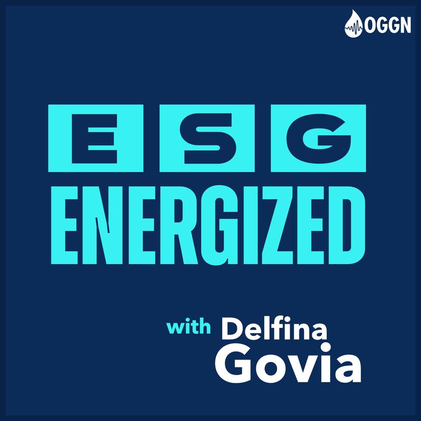 ESG Energized cover art